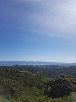 20180511_095551.jpg