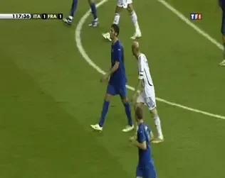 ZigzagBitesizedArabianwildcat-size_restricted.gif