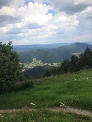 BLAUEN BIS (2).jpg