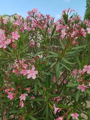 20180717_190203.jpg