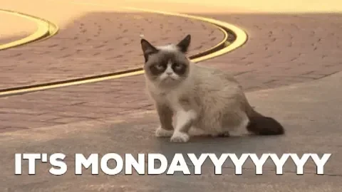 monday morning.gif