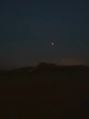20180727_222203.jpg