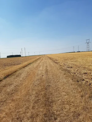 20180803_171933.jpg
