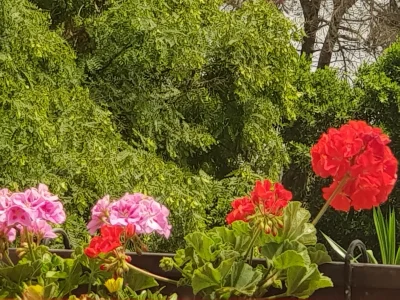 20180813_140529.jpg
