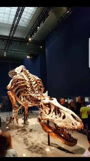 T-rex à Paris.png