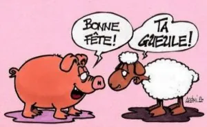 mouton.jpeg