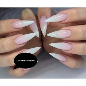 MODEL-18-ONGLE-2017.jpeg