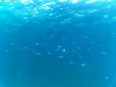 20180808_124841A.jpg