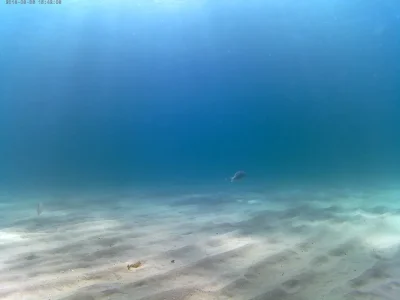 20180806_154208A.jpg