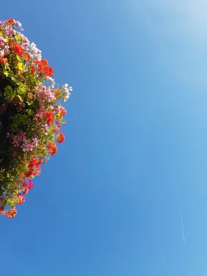 20180915_184709.jpg