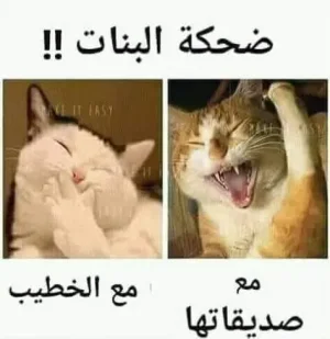 rire de filles.jpg