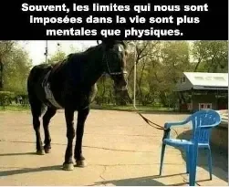 Barrière-psychologique.png