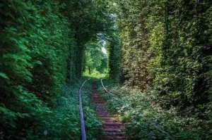 6391-10-le-tunnel-de-l-amour[1].jpg