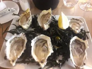20181005_203157.jpg