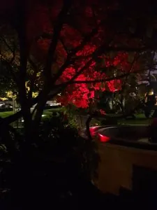 20181008_201540.jpg