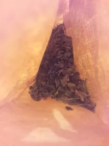 20181009_194632.jpg