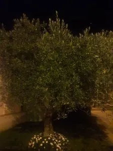 20181009_220848.jpg