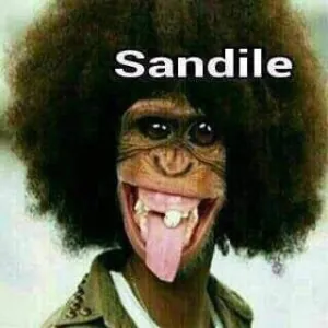 Sandile.jpeg
