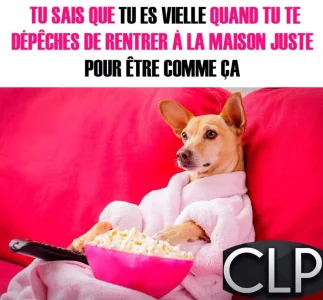 tu sais.jpg