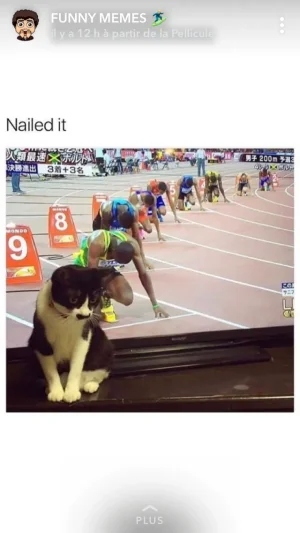 IMG_8023.PNG