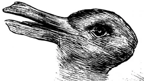 lapin-ou-canard.jpg