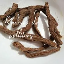 pellytori.jpg