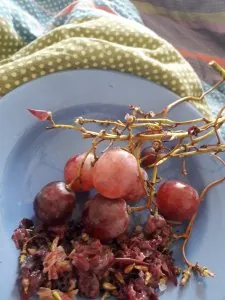 20181028_135102.jpg