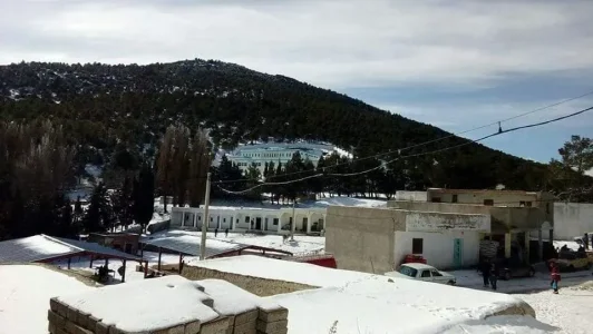 checrane2.jpg