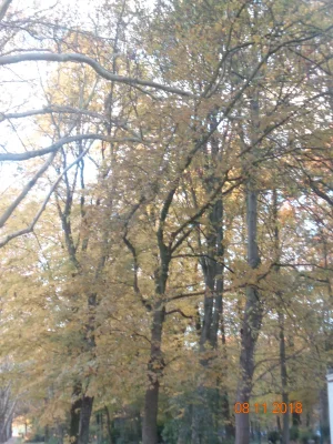011.JPG