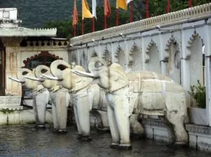 palais plaisirs - udaipur.jpg