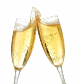 champagne_toast[1].jpg