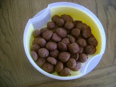 aout_210.jpg