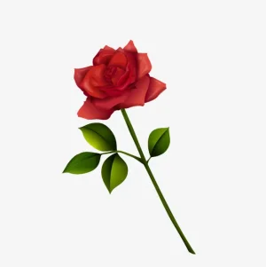 rose.jpg