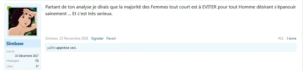 misogyne.PNG