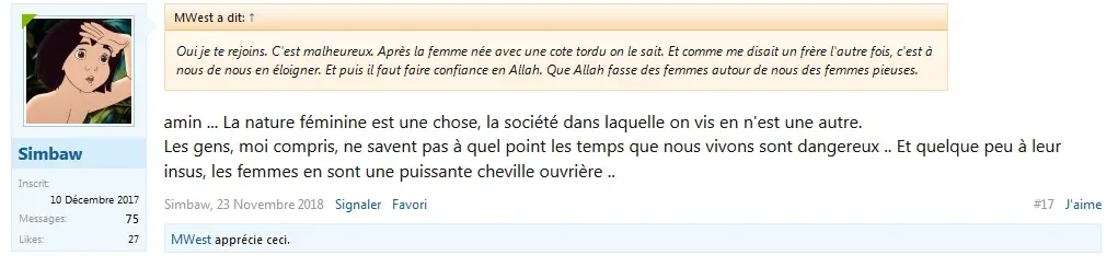 misogyne 2.PNG