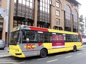 tec.jpg