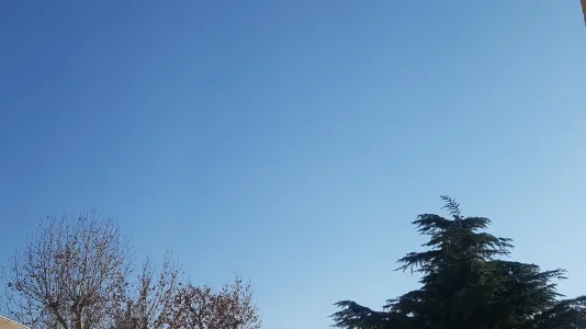 Screenshot_20181229-142345_Gallery.jpg