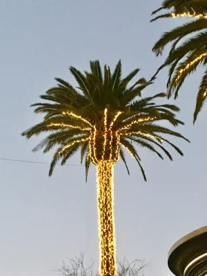 D53AD013-7F3B-47A8-AD47-C133ABB35F4A.jpeg