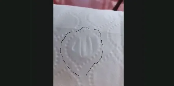 30027139-28819802.jpg