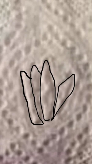9D7E1DE0-D4E0-44D2-8360-B9F25886052F.jpeg