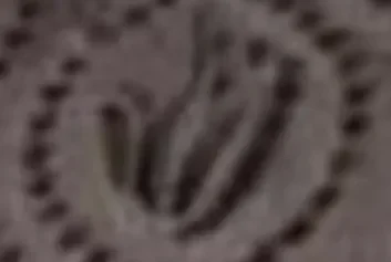 B9E78E1D-2AEF-46E9-A775-81805672BB2F.jpeg