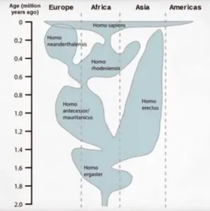 hominidae-groups.jpg