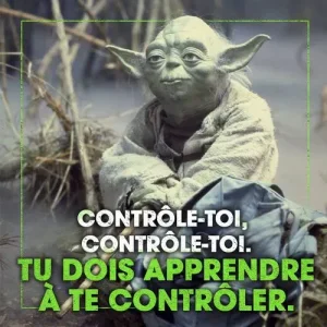 Yoda-dans-Star-Wars_square500x500.jpg
