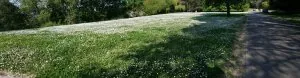 20160508_103349.jpg