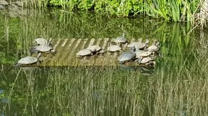 20160501_102510.jpg