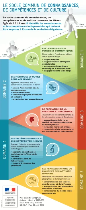 socle-commun-infographie.png