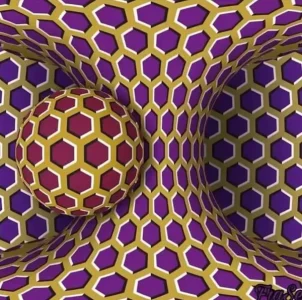 3317932860_1_2_c3rumIkC.jpg