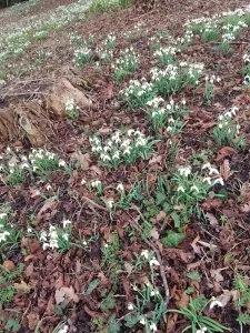 20190209_150017.jpg