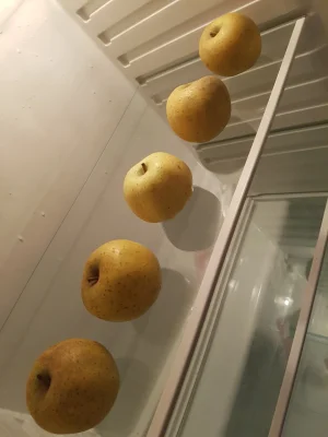 20190209_200437.jpg