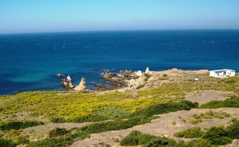 ALIM0703.JPG